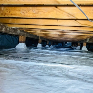 Photo of Super Attic Solutions