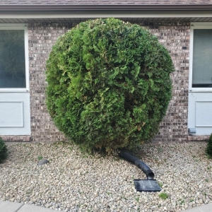 Photo of Midwest Yard Pros