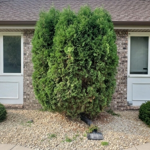 Photo of Midwest Yard Pros
