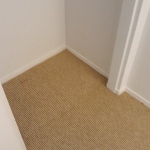 Photo of Pro Team Carpet Cleaning Las Vegas
