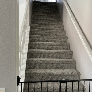 Photo of Pro Team Carpet Cleaning Las Vegas