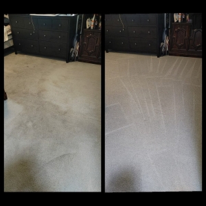 Photo of Pro Team Carpet Cleaning Las Vegas