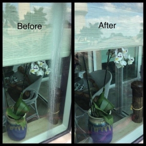 Photo of Molgora Window Cleaning Services