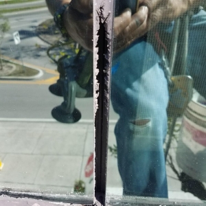 Photo of Molgora Window Cleaning Services