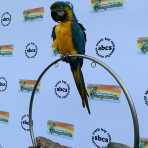 Photo of San Diego Events Company