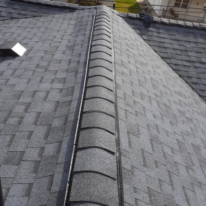 Photo of Home Genius Exteriors
