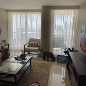 Photo of Blinds Shades and Shutters