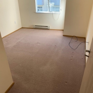 san francisco Green Carpet SF - Carpet and Floor Cleaning in the Bay Area