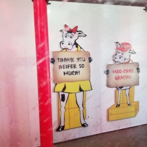 Photo of Moo Moo Express Car Wash - Huber Village