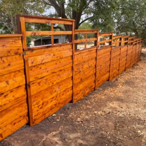 Photo of Doctor Fence