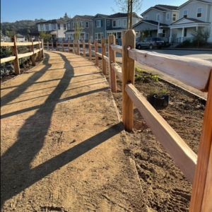 Photo of Doctor Fence