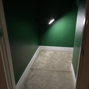 Photo of High Level Painting