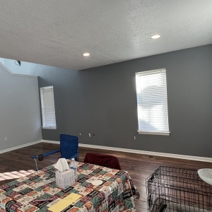Photo of High Level Painting