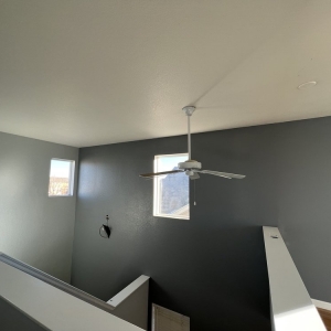 Photo of High Level Painting