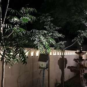 Oro Valley Arizona Lighting Design
