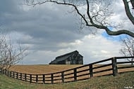 Photo of Royer Ornamental Fencing
