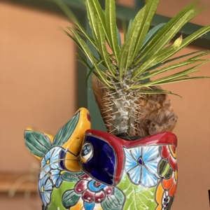 Photo of El Jardin Del Colibri