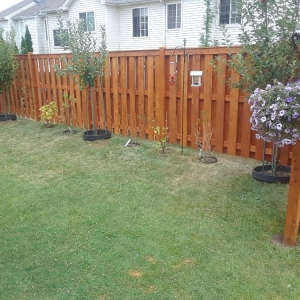 Bloomingdale Elite Fence