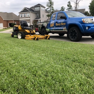 Photo of Busy Bee Lawn Care & Sprinkler Repair