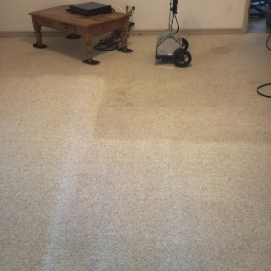 Photo of Carpet 1st LLC