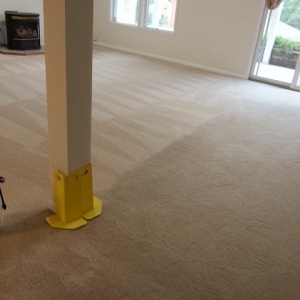 Photo of Carpet 1st LLC