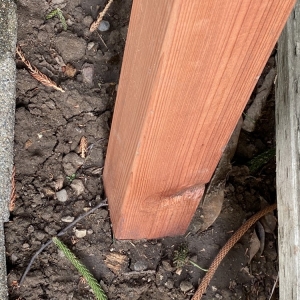 Photo of The Urban Arborist