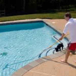 Photo of Las Vegas Pool Cleaning And Maintenance