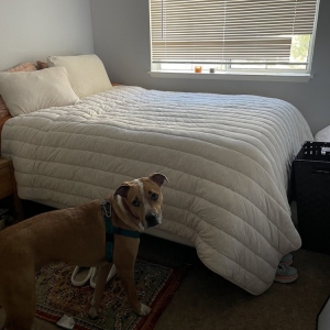 Photo of Tula's Cleaning Service