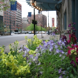 Photo of Urban Apartment Locators