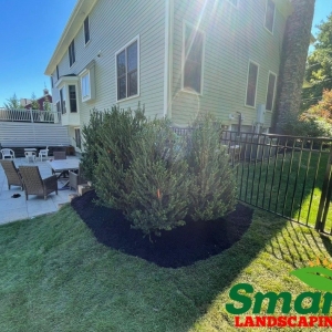 Photo of Smart Landscaping