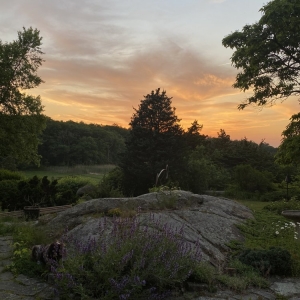 Photo of LaChance Tree Professionals