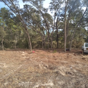 Photo of Major Debris Removal