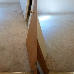 Photo of Mott's Carpet Cleaning