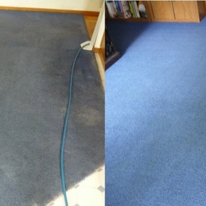 Photo of Mott's Carpet Cleaning