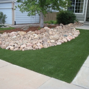 Photo of Perfect Turf