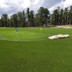 Photo of Perfect Turf