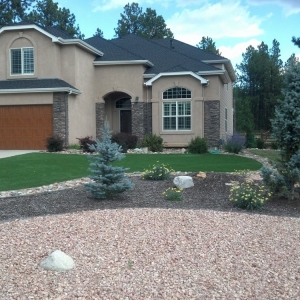 Photo of Perfect Turf