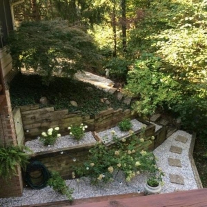 Photo of S & S Lawn Care Services