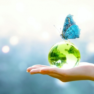 Photo of Glint Global Services