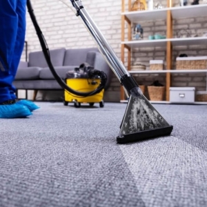 Suwanee Leo's Carpet Cleaning