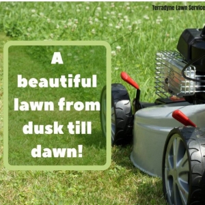 Photo of Terradyne Lawn Service