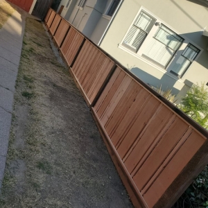 Oakland Intuitive Landscape & Construction