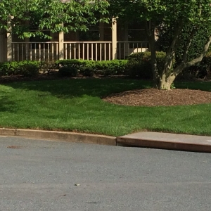 Photo of Sodfather's Lawn Care