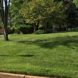 Photo of Sodfather's Lawn Care