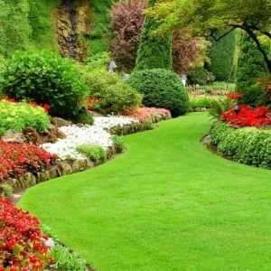 Jacksonville Sodfather's Lawn Care