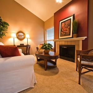 Photo of Preemo Painting & Repairs