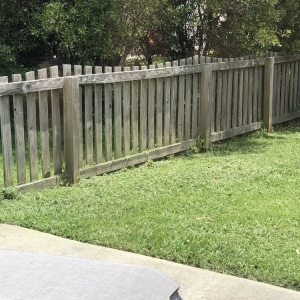 Photo of Simply Green Landscaping