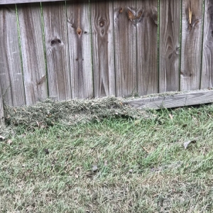 Photo of Simply Green Landscaping