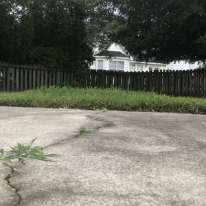 Photo of Simply Green Landscaping