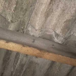Photo of Forth Asbestos Services